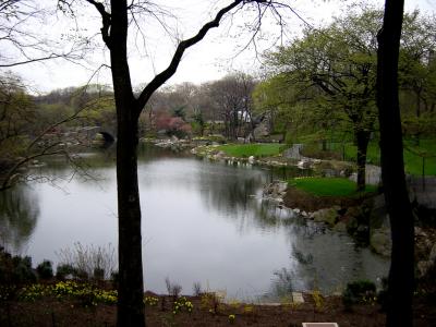 DSC00066.jpg