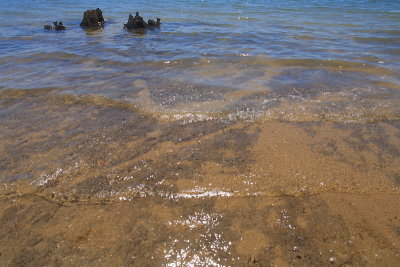IMG_9741.1.1.jpg