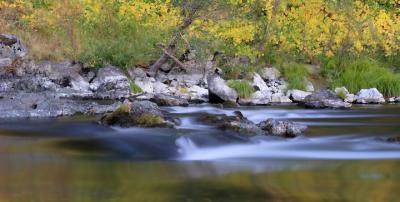 IMG_9333_crop.jpg