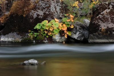 IMG_9326 .jpg
