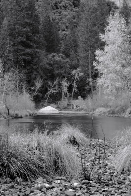 IMG_8407bw.jpg