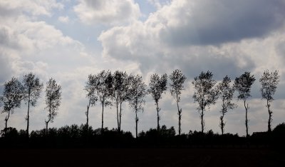 _DS71824w.jpg