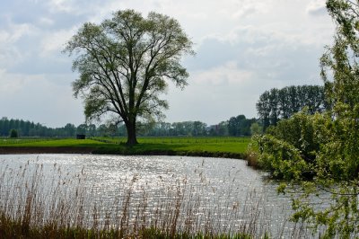 _DS71921w.jpg