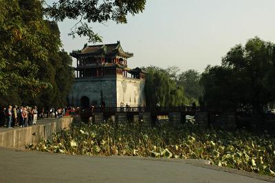 DSC_7862w.jpg