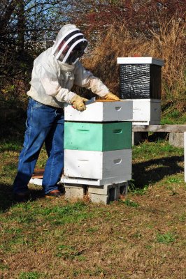 Hive top feeder
