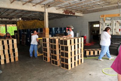 Our bees ready for pick up