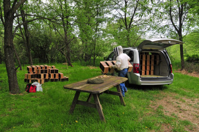 Bees arrive at L.V.B.A. Apiary