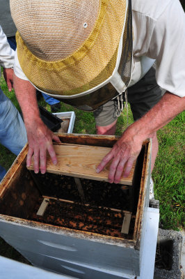 Placing the pkg. in a hive body.