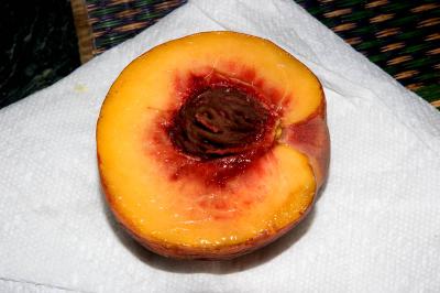 freestone peach