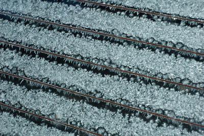 frost on car