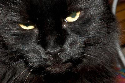 I disapprove of what you're doing...