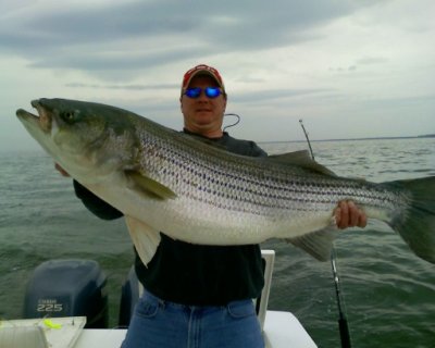 large fish caught 3/28/08 --Jason Gartside Boat