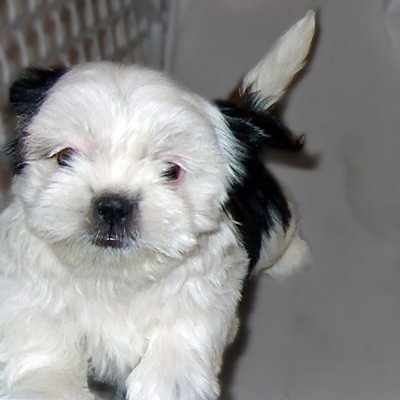 January 8, 2010