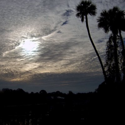 January 15, 2010