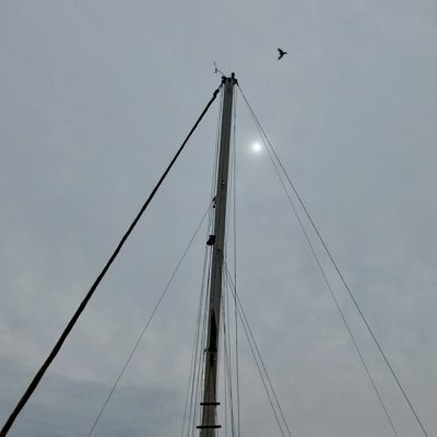 g3/93/44993/3/121319597.MIpVKmmL.jpg