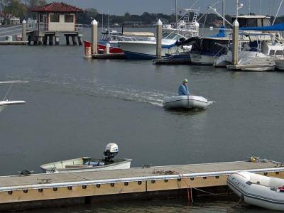 Don coming ashore