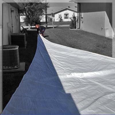 Sail Repair