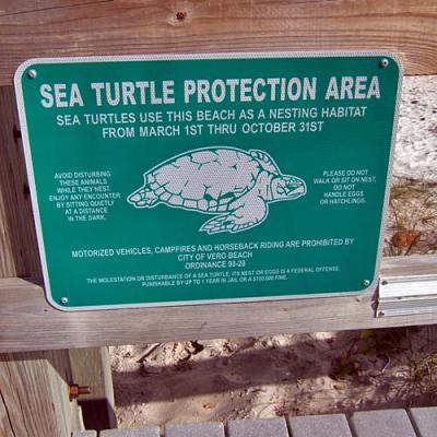 g3/93/44993/3/55158215.0013turtles_sign.jpg