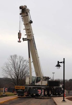 Crane Waiting