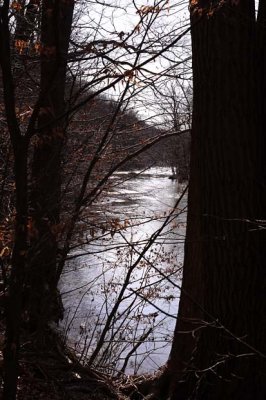 Backlit Ripples