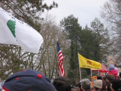 Flags Along the Way