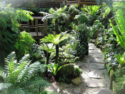 Fernery Path