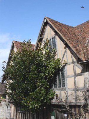 A Village House