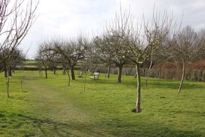 Grounds