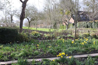 Flower Garden