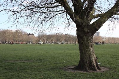 Hyde Park