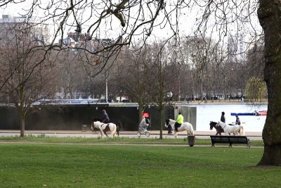 Horses Along the Serpentine