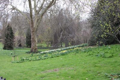 Hyde Park Spring Flowers