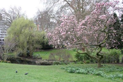 Hyde Park Spring