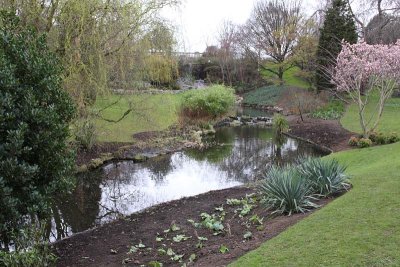 Pond & Garden