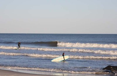 Surfer Dudes