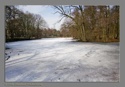 Frozen pond..