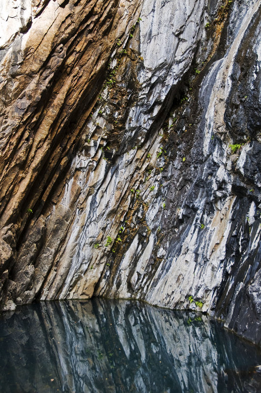 Pool at Cattails Falls