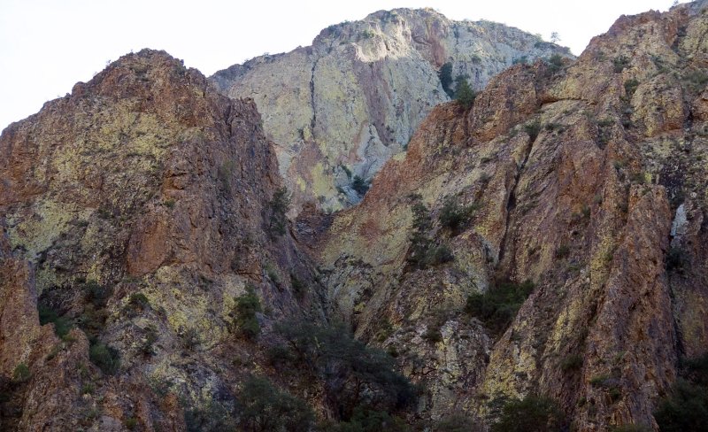 Mountains of Lichen