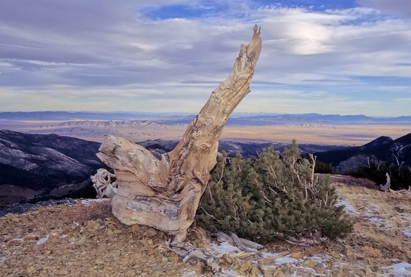 Great Basin 1