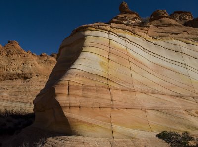 Omni colored Bus....... South Coyote Buttes