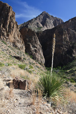 Hike to Cattail Falls XI