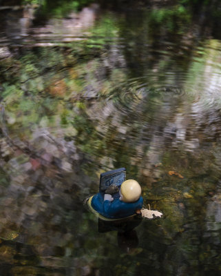 Hike to Cattail Falls XII