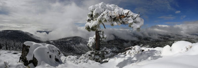 Bent Tree Pano 3 shots...don't forget to scroll