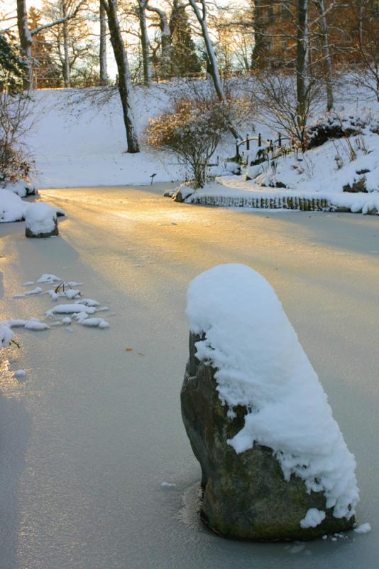 A Sunny Winter Day