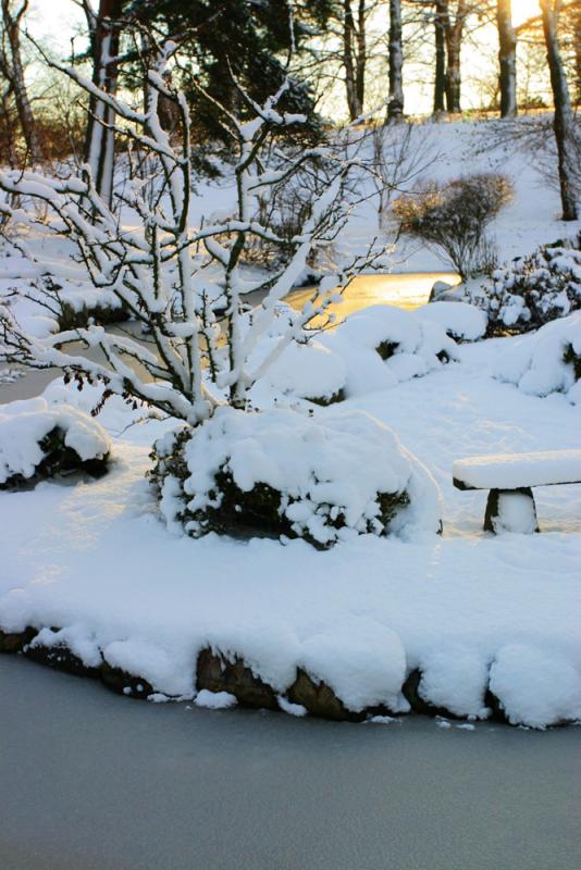 Winter light