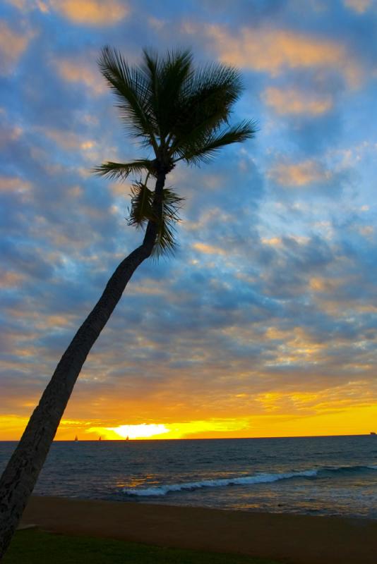Oahu Sunset