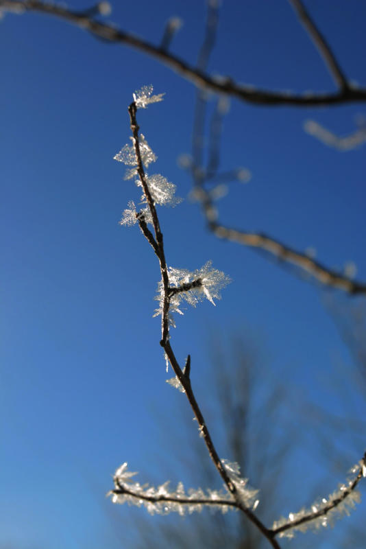 White Crystalls with Blue Background