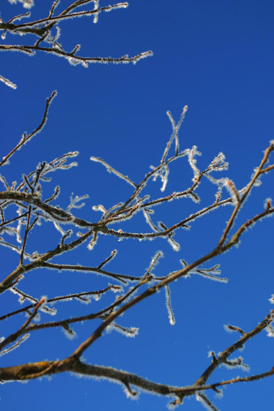 Blue and White
