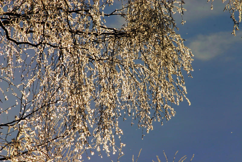 Glittering Frost