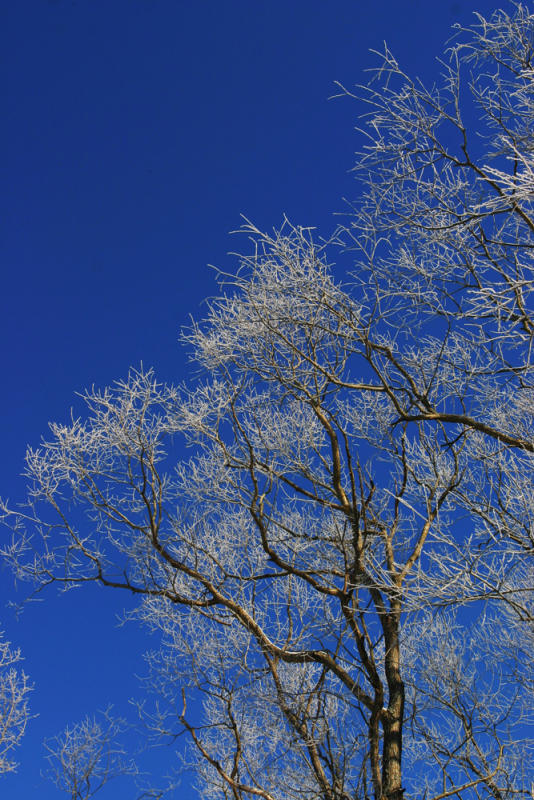 Blue Sky
